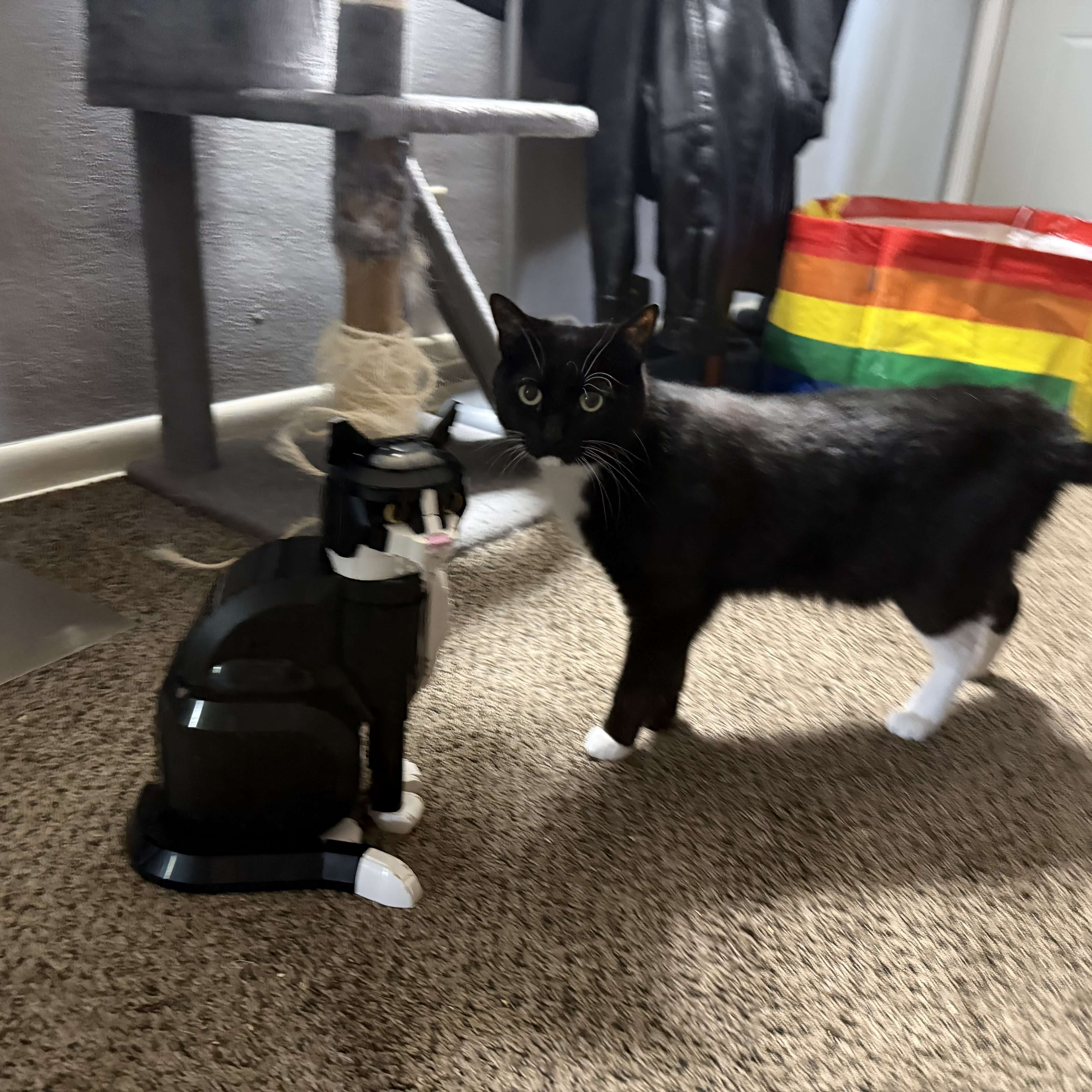 cat with a lego cat